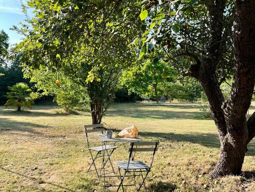 Maison à vendre 485 000 € 6 pièces 5 chambres 300 m² 60 000 m² de terrain Nogaro 32110