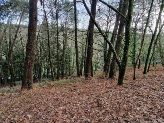 Terrain à vendre 3 200 € 5 727 m² de terrain Plumelec 56420