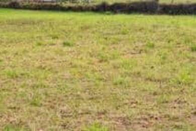 Terrain constructible à vendre 37 000 € 630 m² de terrain Lepuix 90200