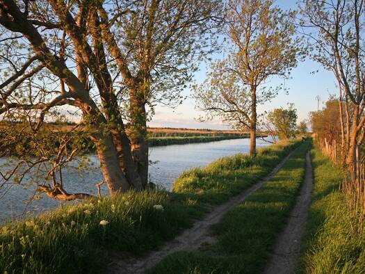 Terrain constructible à vendre 259 000 € 1 204 m² de terrain La Roquette Lunel 34400