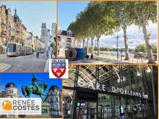 Appartement en viager occupé Bouquet 51 360 € 3 pièces 2 chambres 71 m² Étage 2/6 Orléans 45100