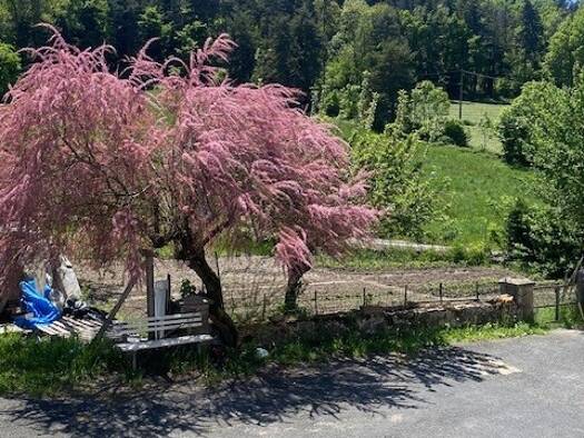 Maison à vendre 210 000 € 15 pièces 14 chambres 245 m² 2 475 m² de terrain Nord Yssingeaux 43200