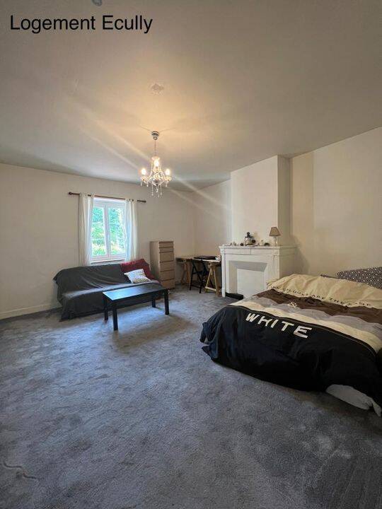 Appartement 1 pièce 45 m² · à Écully · 45 m² · 675 €/mois