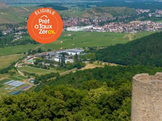 Terrain constructible viabilisé à vendre 85 750 € 245 m² de terrain Sud Ouest Wintzenheim 68124