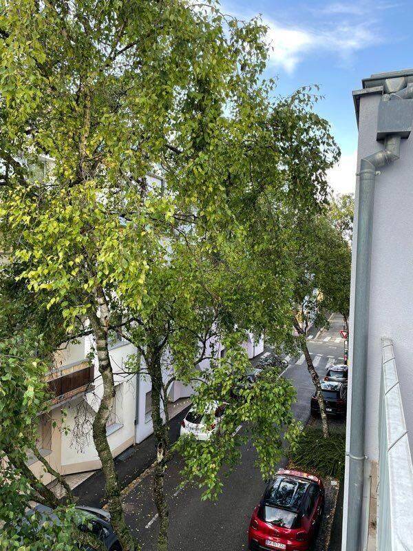 Appartement 2 pièces 36 m² · à Strasbourg · 36 m² · 650 €