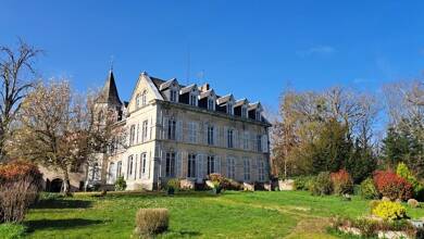 Château à vendre 890 000 € 15 pièces 9 chambres 552 m² 97 344 m² de terrain Courpière 63120