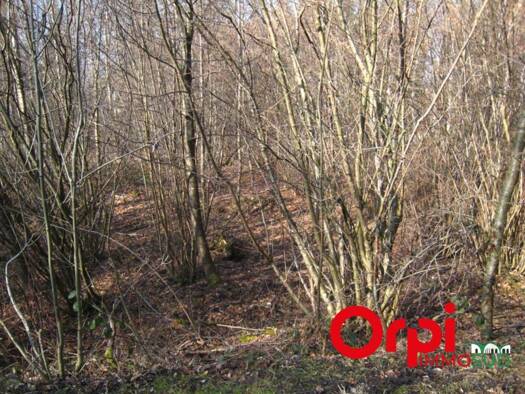 Terrain à vendre 328 980 € 173 342 m² de terrain Bacouel-sur-Selle 80480