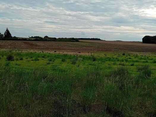 Terrain constructible à vendre 42 000 € 857 m² de terrain Grossœuvre 27220