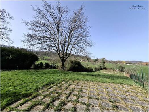 Maison à vendre 72 000 € 10 pièces 2 chambres 285 m² 1 413 m² de terrain Grimonviller 54115