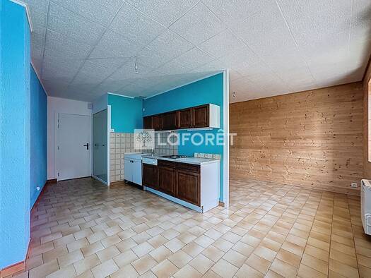 Appartement à louer 340 € 1 pièce 33 m² 1er étage Coligny 01270