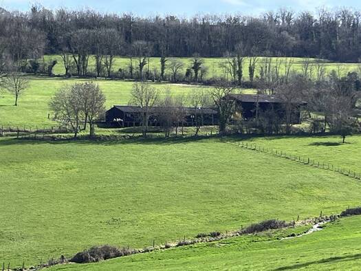 Maison à vendre 435 000 € 10 pièces 5 chambres 360 m² 1 790 m² de terrain Semur-en-Auxois 21140