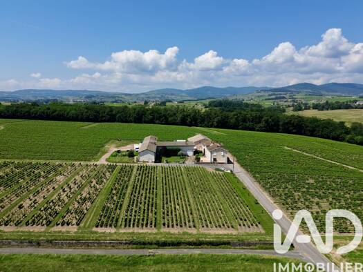 Maison à vendre 560 000 € 8 pièces 4 chambres 185 m² 4 200 m² de terrain Arnas 69400