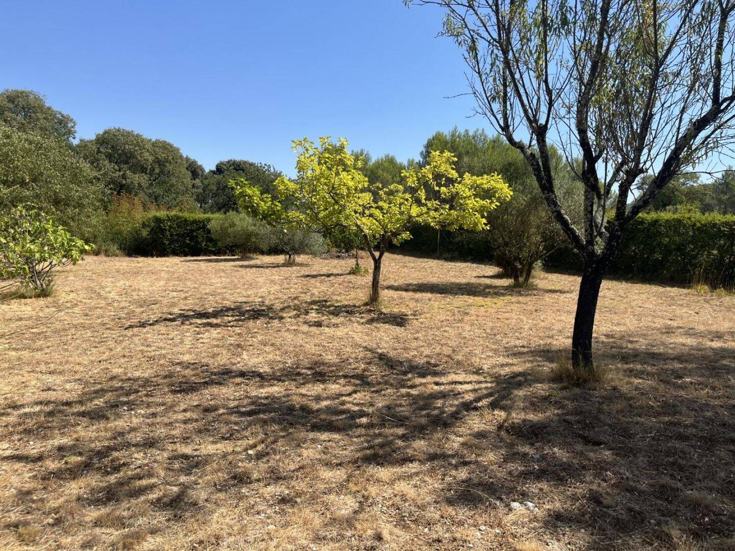 Terrain de 721 m² à Sainte-Croix-de-Quintillargues - photo 2