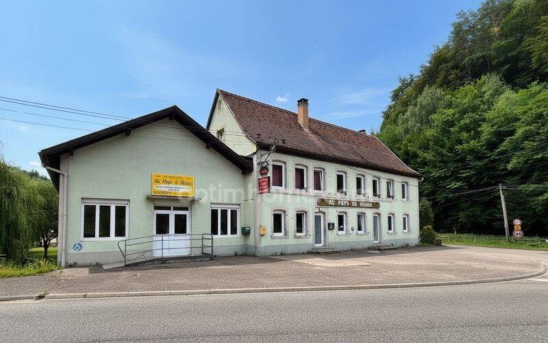 Maison 12 pièces 307 m² · à Philippsbourg · 307 m² · 159 000 €