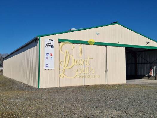 Local commercial à vendre 365 750 € 1 295 m² de surface de vente Richelieu 37120