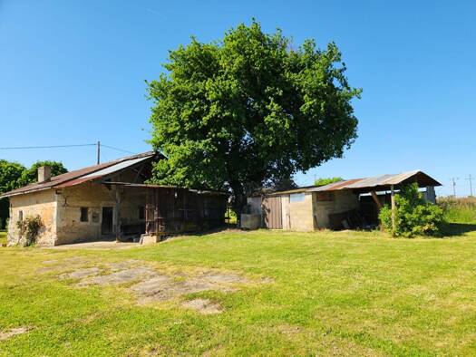 Maison à vendre 274 000 € 5 pièces 4 chambres 120 m² 3 514 m² de terrain Montfort-en-Chalosse 40380