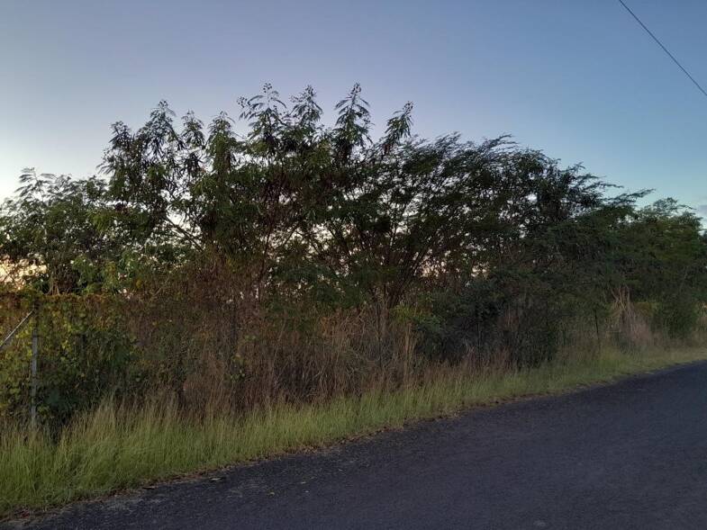 Terrain constructible à vendre 165 000 € 840 m² de terrain Vieux-Habitants 97119