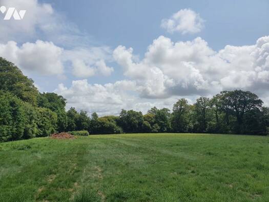 Maison à vendre 250 800 € 4 pièces 3 chambres 104 m² 2 600 m² de terrain Férel 56130