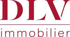 DLV IMMO logo