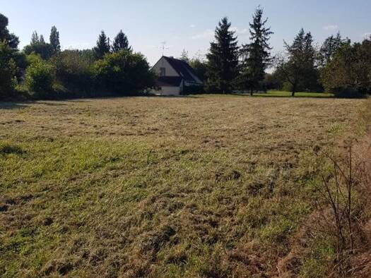 Terrain constructible à vendre 23 000 € 1 313 m² de terrain La Cour-Marigny 45260