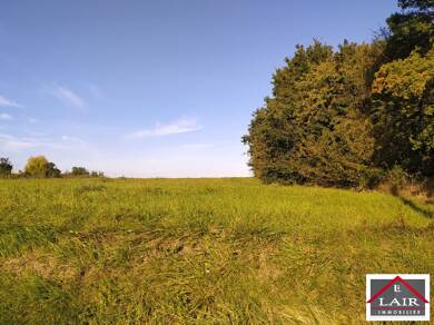 Terrain constructible à vendre 35 723 € 2 165 m² de terrain Fresnay sur Sarthe 72130