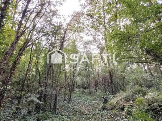 Terrain à vendre 15 000 € 3 945 m² de terrain Centre Jaunay-Clan 86130