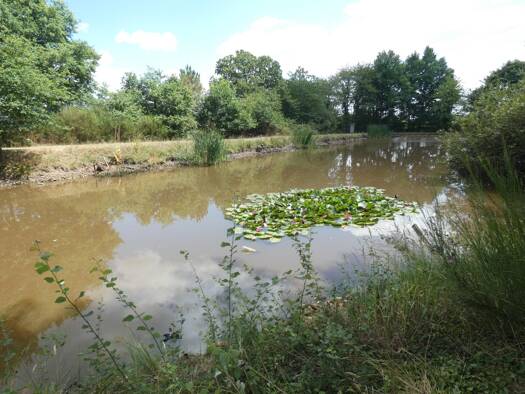 Propriété de loisirs à vendre 27 500 € 11 460 m² de terrain Nuillé-le-Jalais 72370