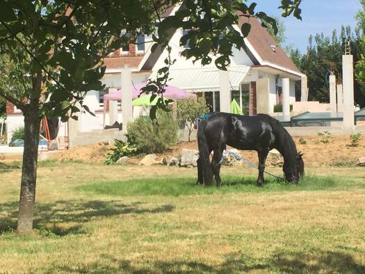 Maison à vendre 1 500 000 € 5 pièces 4 chambres 220 m² Mandres-les-Roses 94520