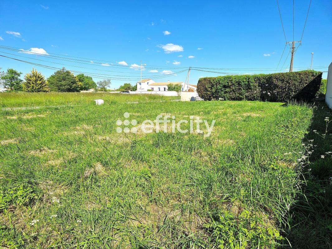 Terrain de 400 m² à Saint-Pierre-d'Oléron - photo 2