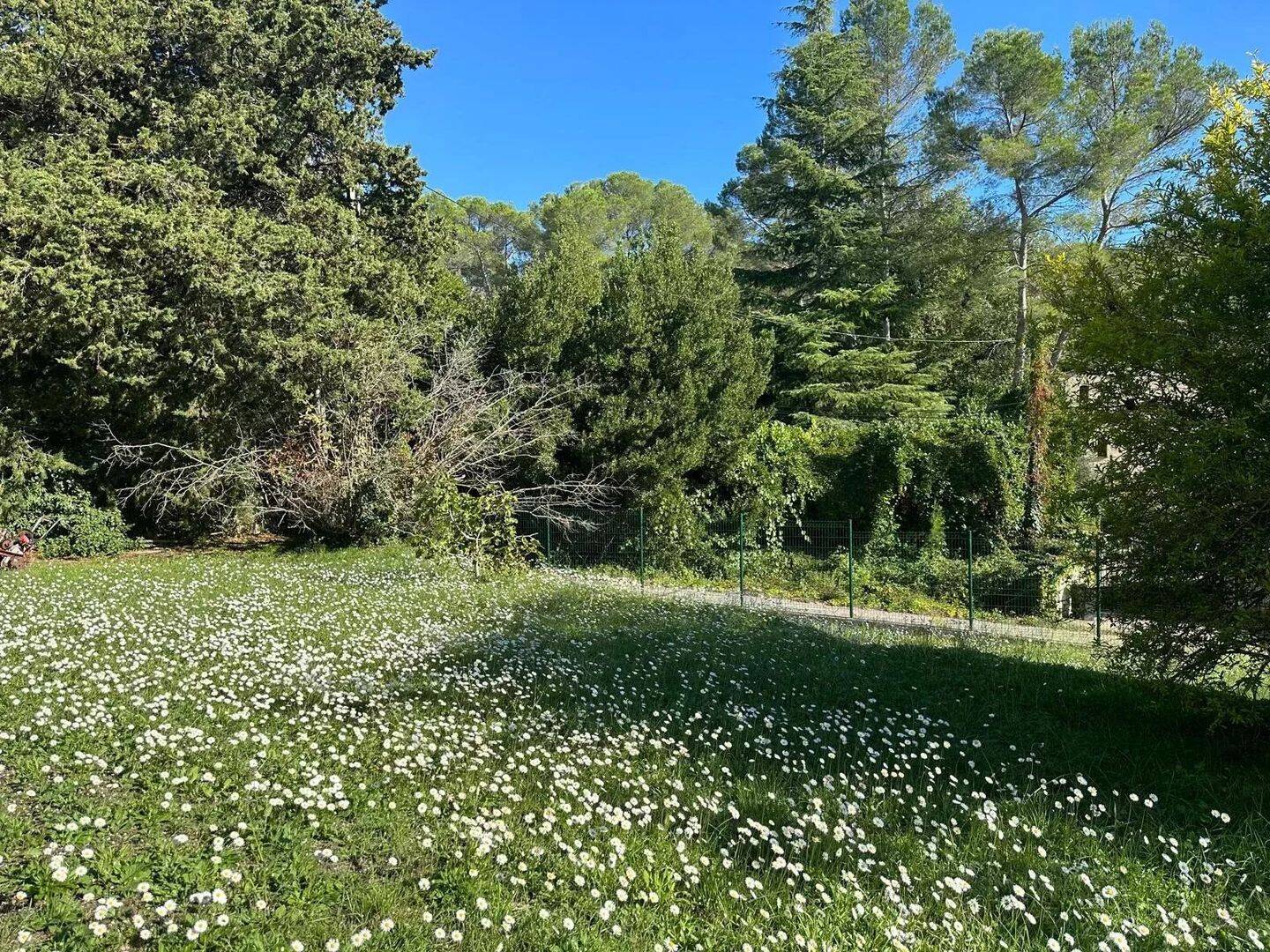 Maison 653 m² · à Mougins · 653 m² · 619 000 €