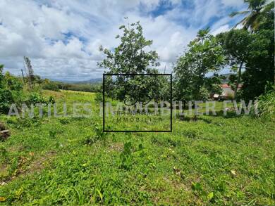 Terrain constructible à vendre 472 500 € 5 400 m² de terrain Rivière-Salée 97215