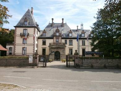 Hôtel particulier à vendre 3 200 000 € 30 pièces 21 chambres 1 320 m² 26 325 m² de terrain Centre Ouest Guebwiller 68500