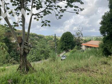 Terrain constructible à vendre 129 000 € 1 424 m² de terrain Saint Esprit 97270