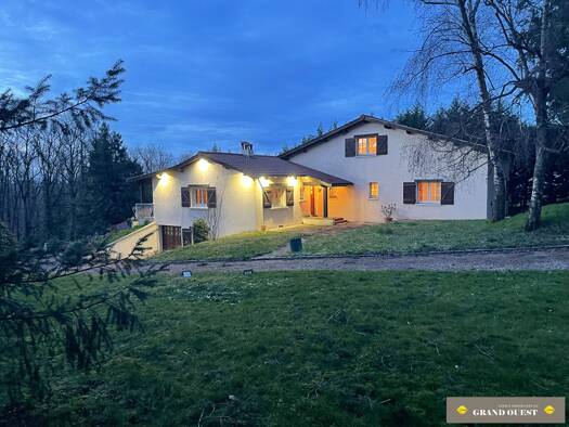 Villa à vendre 600 000 € 10 pièces 7 chambres 245 m² 2 777 m² de terrain Lozanne 69380