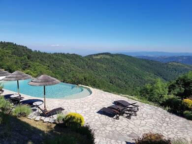 Château à vendre 2 940 000 € 15 pièces 12 chambres 900 m² 85 000 m² de terrain Saint-Laurent-du-Pape 07800