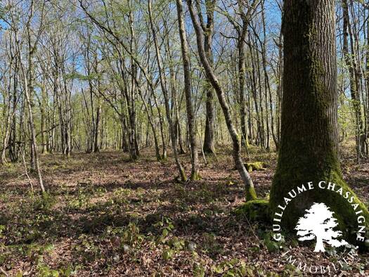 Terrain à vendre 157 500 € 126 780 m² de terrain Nérondes 18350