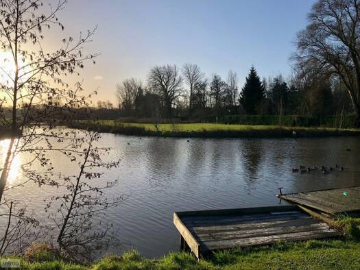 Maison à vendre 270 000 € 8 pièces 5 chambres 150 m² 1 300 m² de terrain Houlle 62910