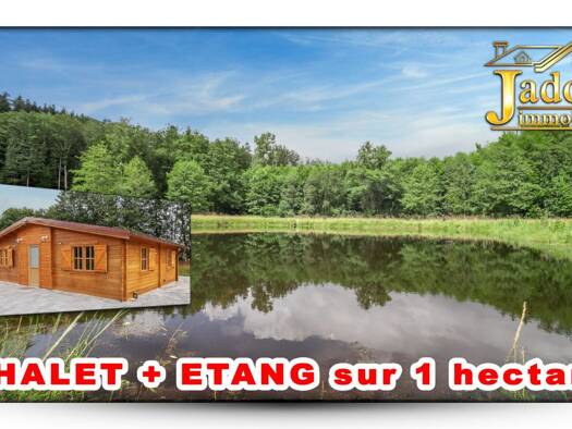 Maison de plain-pied à vendre 175 000 € 4 pièces 2 chambres 50 m² 25 000 m² de terrain Anould 88650