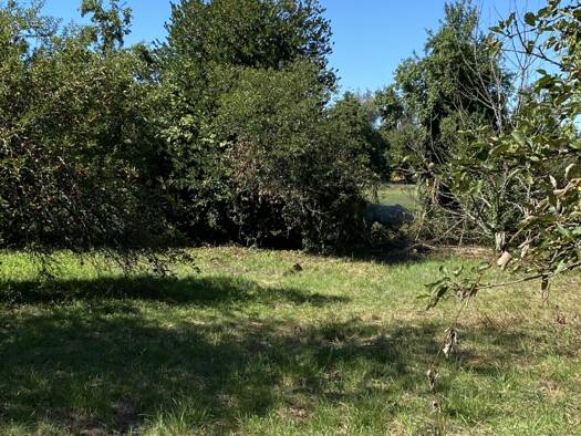 Terrain constructible à vendre 285 000 € 1 397 m² de terrain Zillisheim 68720