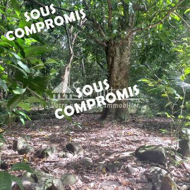 Terrain constructible à vendre 163 500 € 5 500 m² de terrain Vieux Habitants 97119