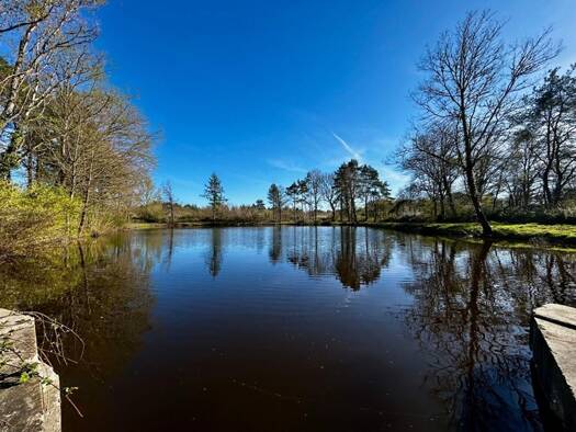 Propriété de loisirs à vendre 54 990 € Langon 41320