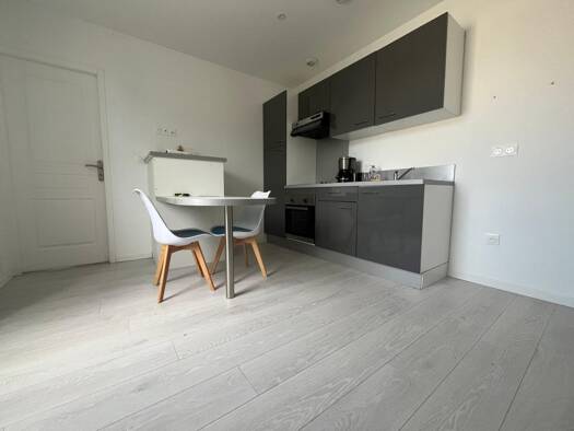 Appartement à louer 450 € 2 pièces 1 chambre 30 m² 1er étage Mairie Graulhet 81300