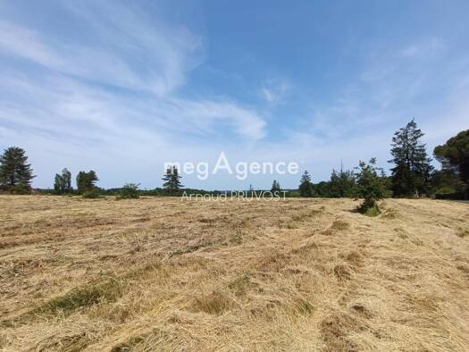 Terrain constructible à vendre 35 000 € 4 558 m² de terrain Molières 24480