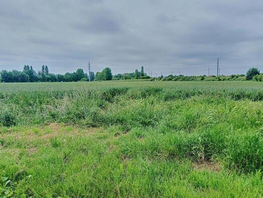 Terrain constructible à vendre 55 000 € 985 m² de terrain Nord Est Aire-sur-la-Lys 62120