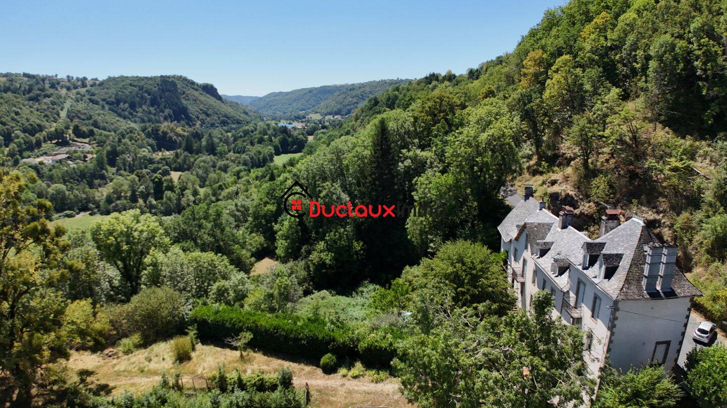 Maison 20 pièces 504 m² · à Saint-Cirgues-de-Jordanne · 504 m² · 676 000 €