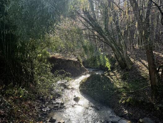 Maison à vendre 600 000 € 5 pièces 3 chambres 137 m² 7 600 m² de terrain Orliénas 69530