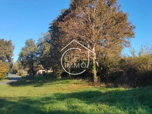 Terrain constructible à vendre 39 000 € 3 203 m² de terrain Mouleydier 24520