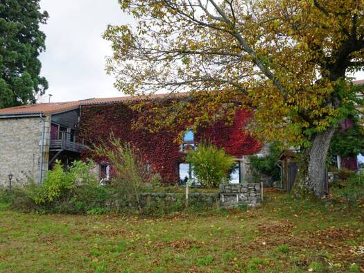 Villa à vendre 690 000 € 15 pièces 9 chambres 550 m² 2 986 m² de terrain Saint-Genest-Malifaux 42660