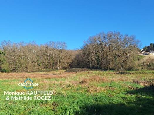 Terrain constructible à vendre 129 000 € 10 850 m² de terrain Courpière 63120