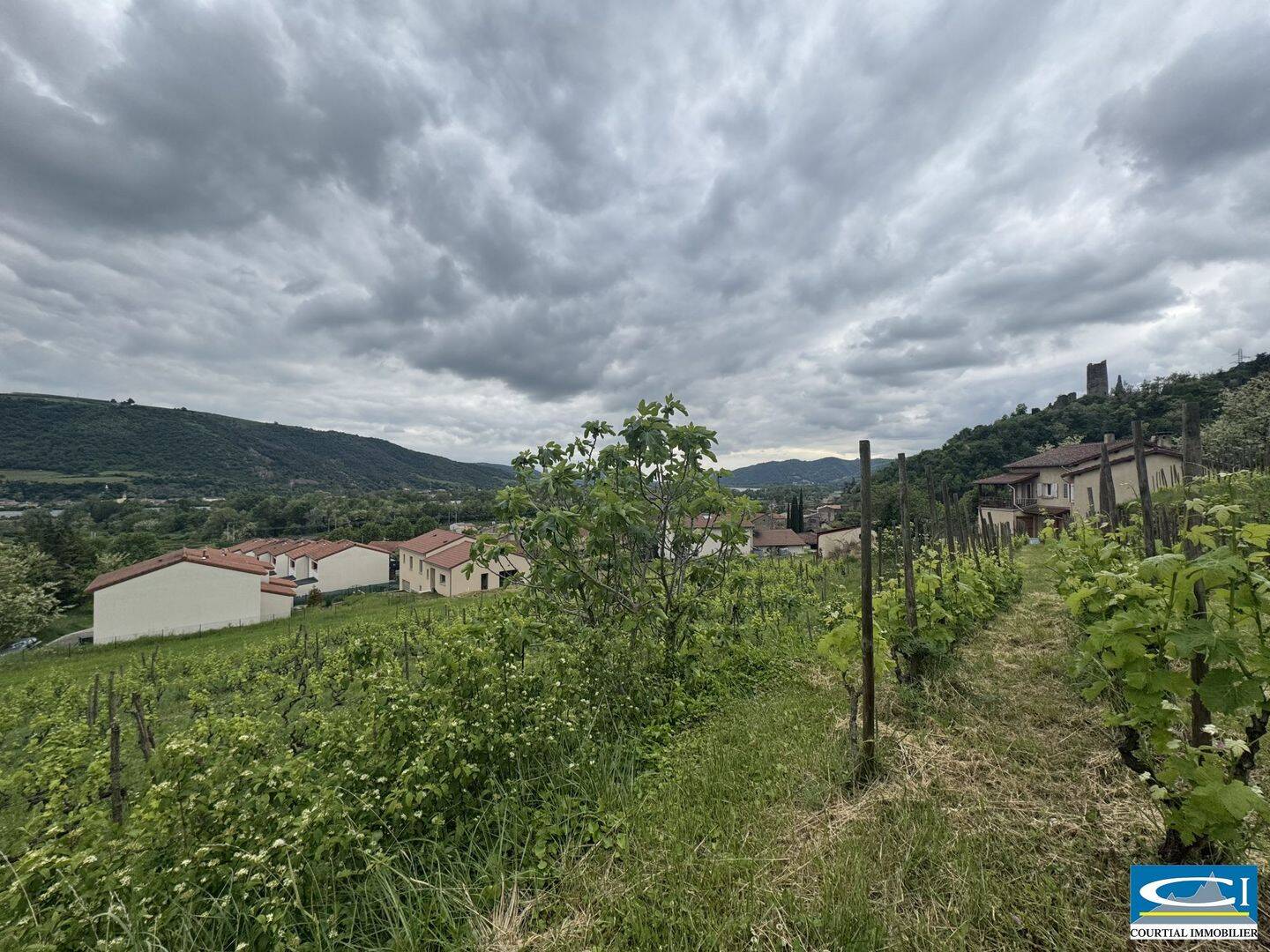 Terrain de 980 m² à Arras-sur-Rhône - photo 2